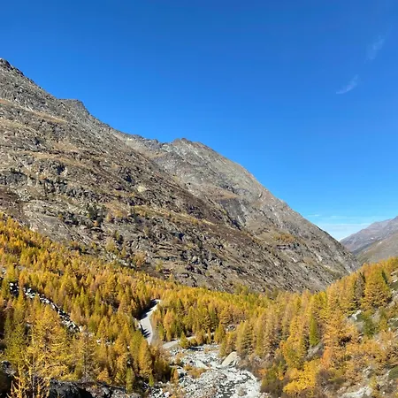 Arcadia Apartamento *