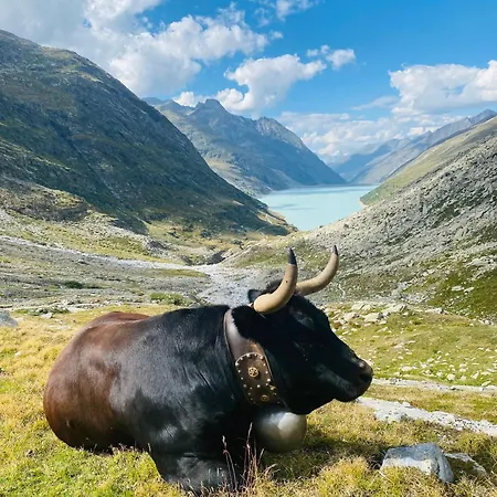 Apartment Apartments Arcadia